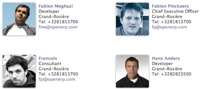 modulo de recursos humanas OpenERP OpenERP recursos humanos RRHH